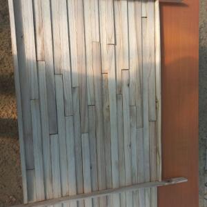 Small first plantation - 9 October 2025